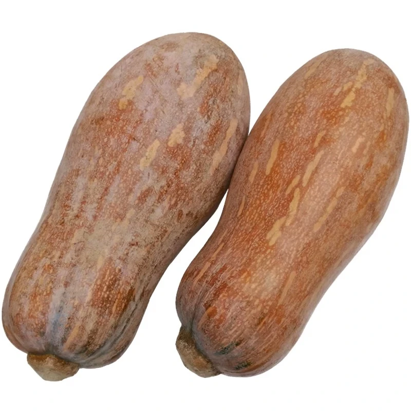 【张小妹】现收云南 南瓜 精选农家货