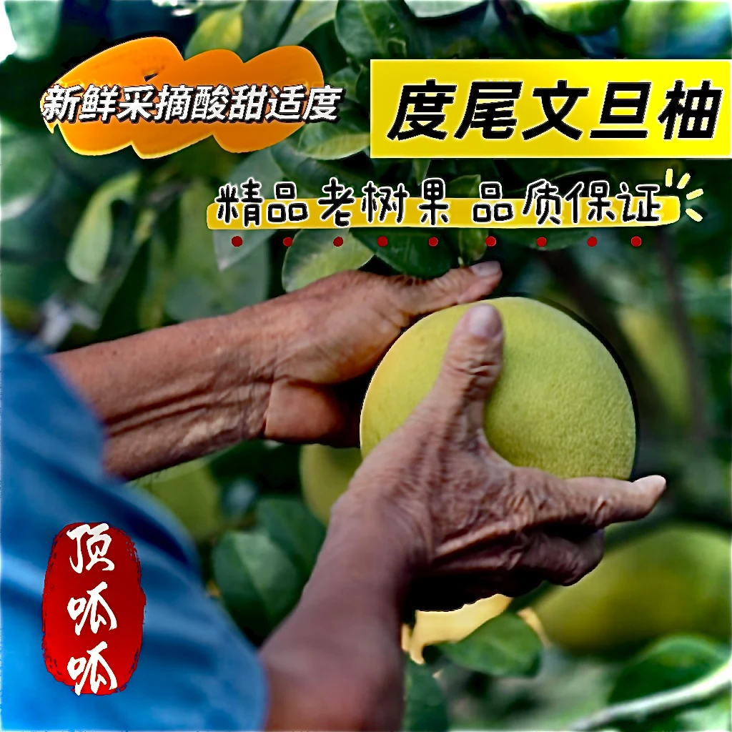 【礼盒装】福建仙游度尾文旦柚红心蜜柚新鲜应季水果酸甜多汁包邮