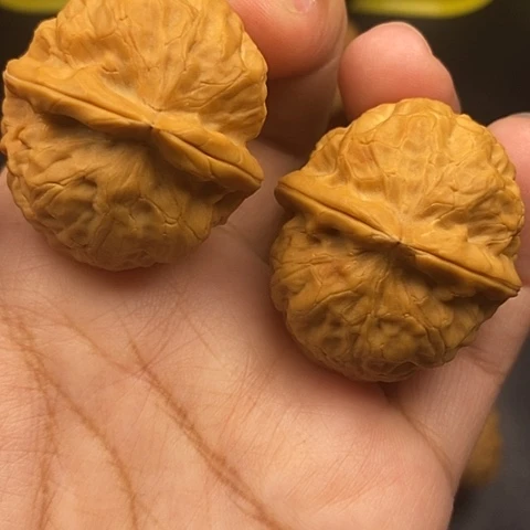 文玩核桃把件39尺金龟