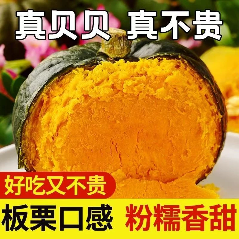 贝贝南瓜粉糯香甜宝宝辅食正宗新鲜
