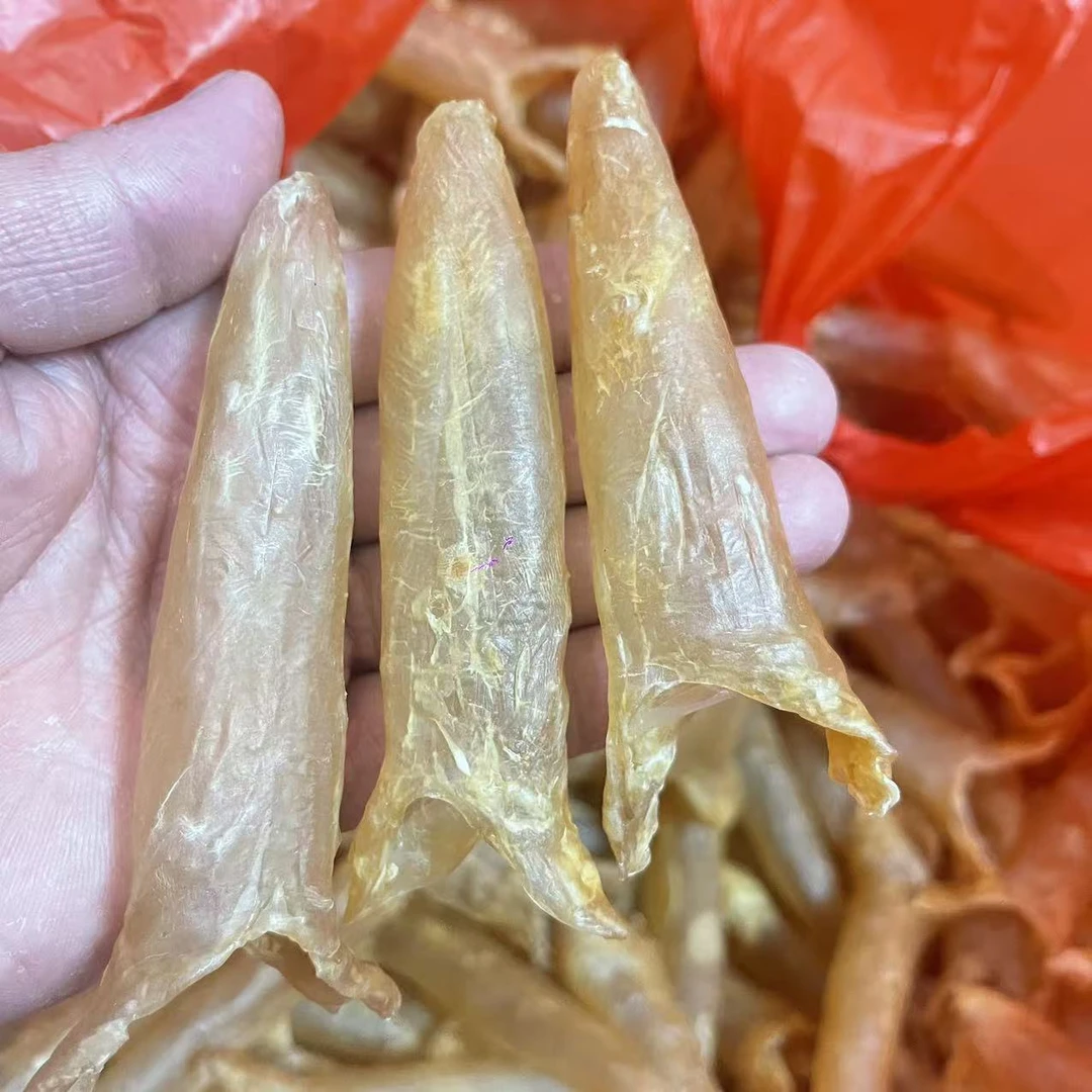 【老胶黄花胶】100头 胶孕妇小孩高蛋白奶 滋补营养