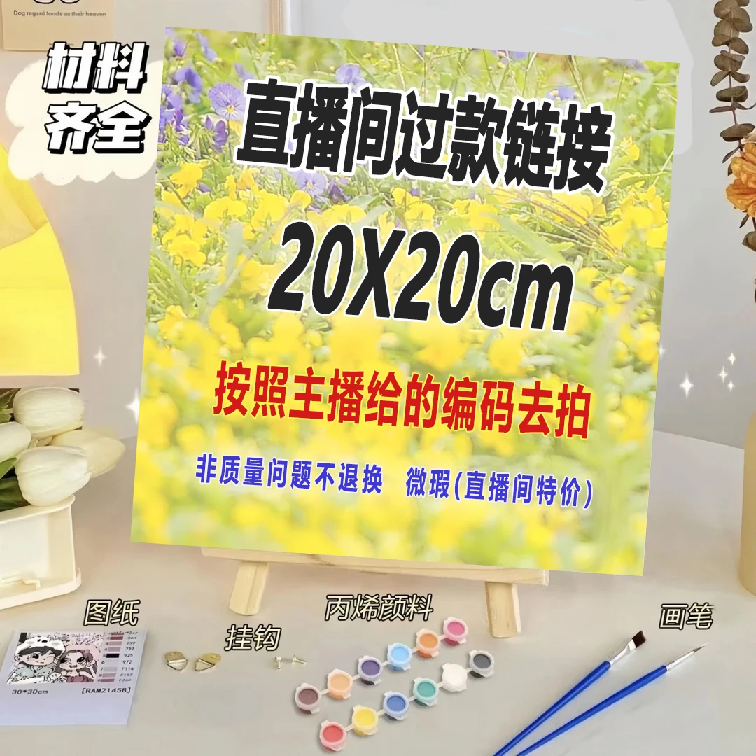 【W801号起】数字油画 20*20CM 【无售后】