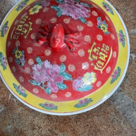 董*人Zczczczczczcxxcc