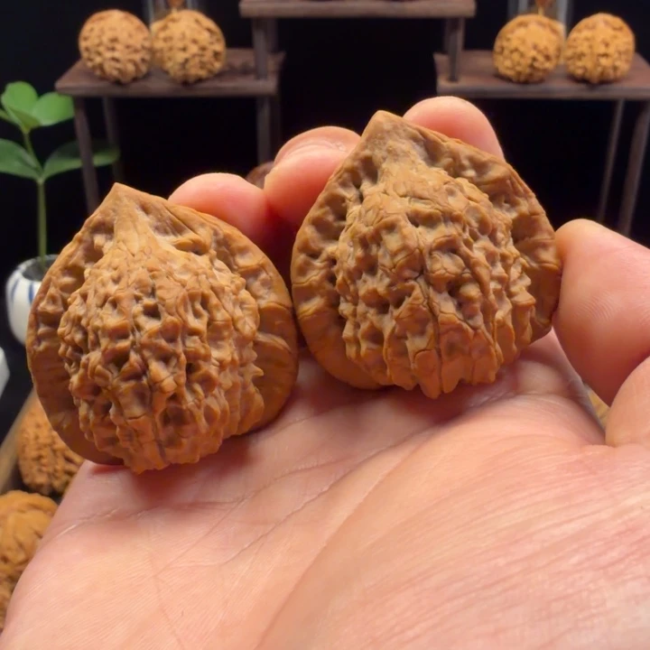 把件文玩核桃朱雀（毕业）尖小修