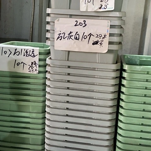 树脂编号203无托10个