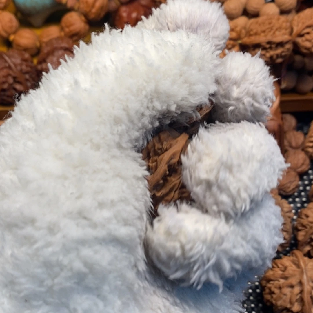 峰***秦岭森林茂密和植被覆盖