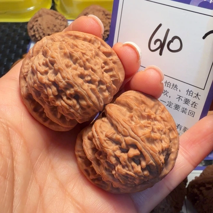 把件文玩核桃610白狮子40