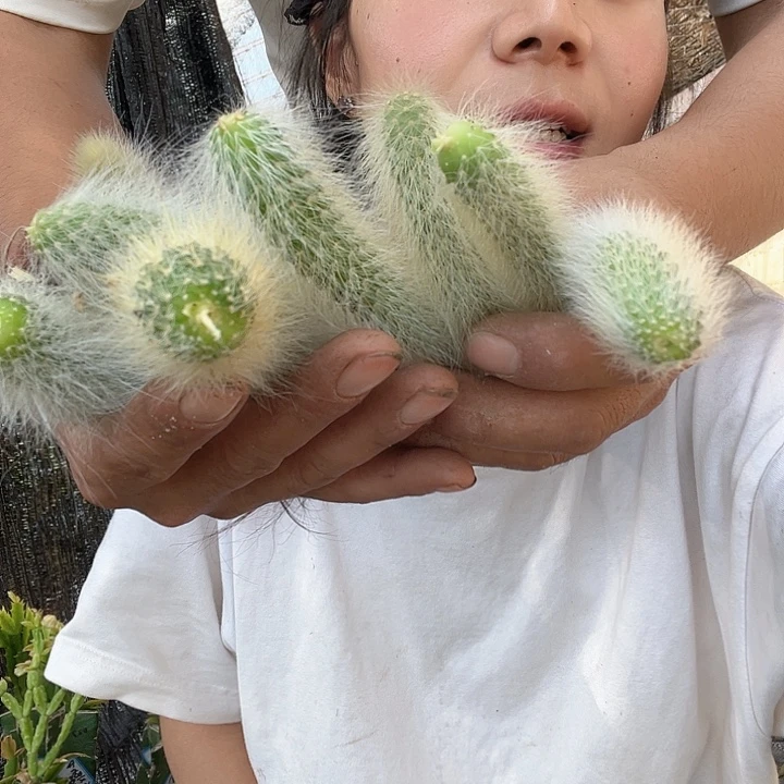 无花朵猴尾福利哈哈哈哈哈