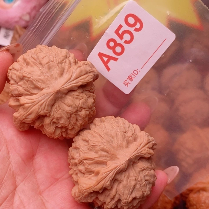 龙鼎51加859号123