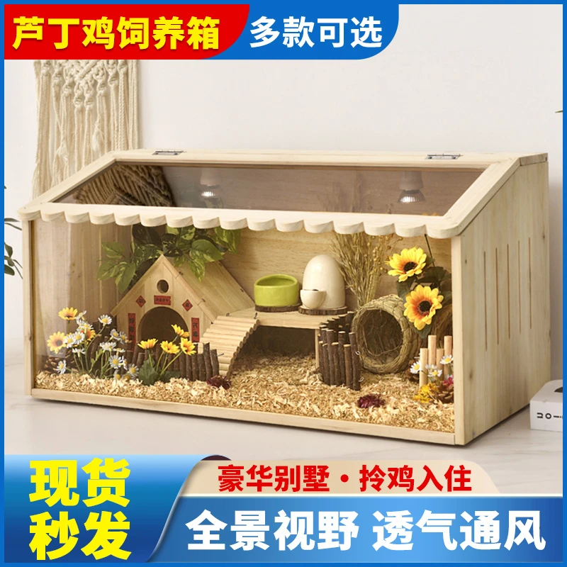 芦丁鸡饲养箱恒温育雏饲养箱柯尔鸭金丝熊养殖保温箱子幼鸡宠物箱