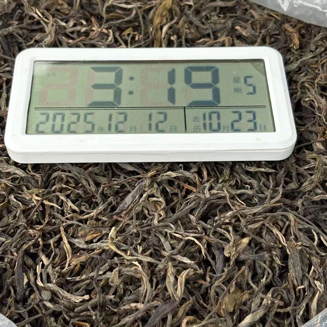 【品鉴装】2025年滑竹梁子单株 2.8公斤春  散茶100克【1039号】12-11