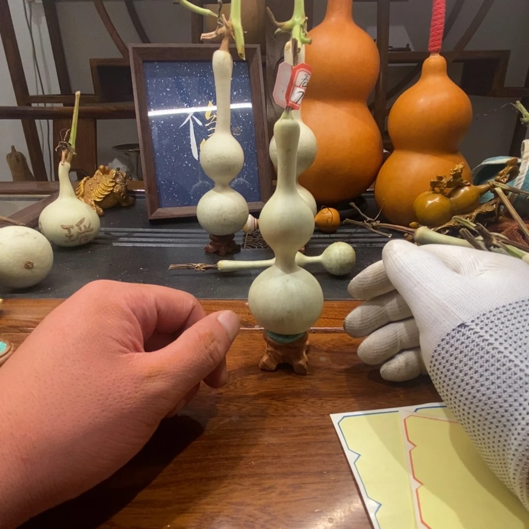 无***心青皮不保成不退不换！
