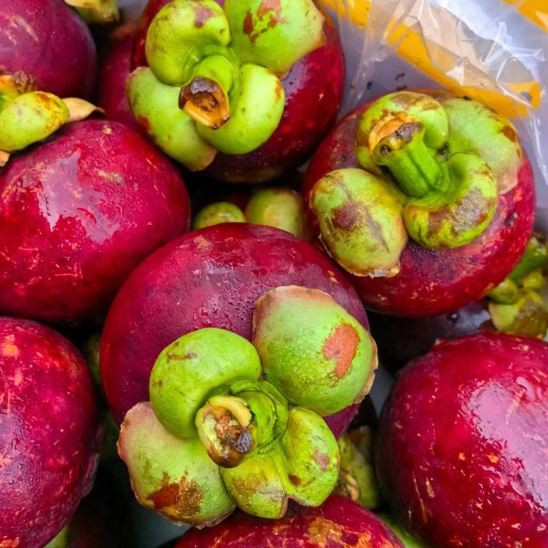 【送货到家】5A山竹我15.8元1斤