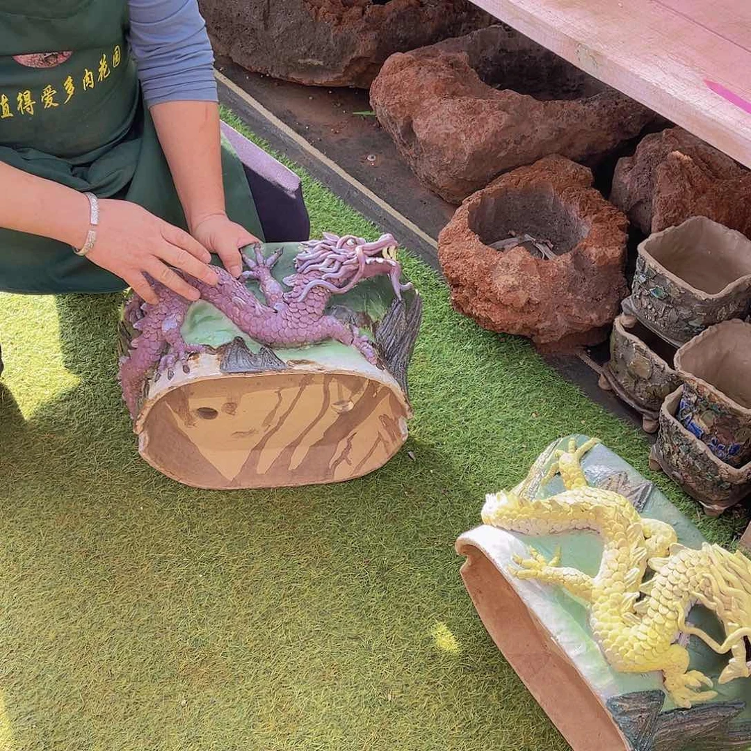 梓*多肉龙盆梓姐