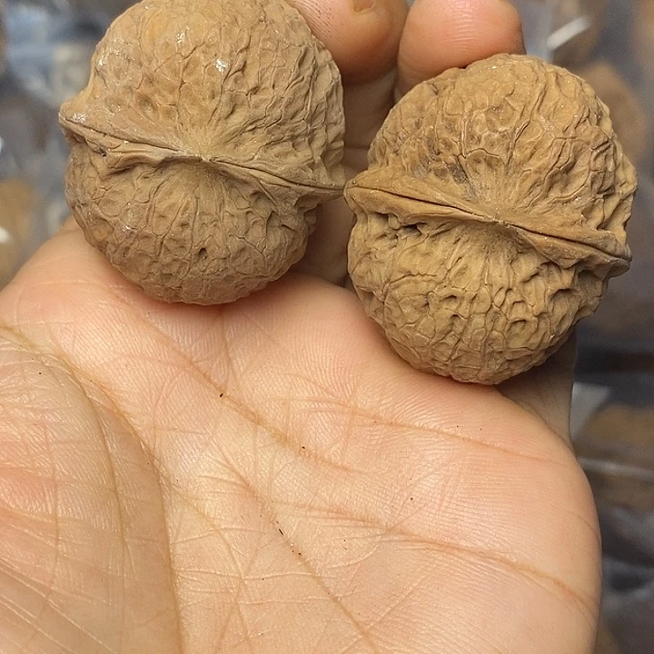 把件文玩核桃云南铁核桃63