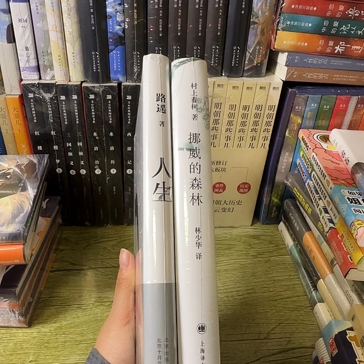 挪威+人生闪购精装17