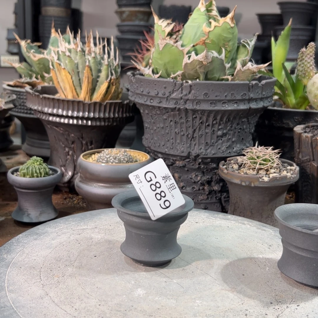 景德镇手工素里内口6.5号5