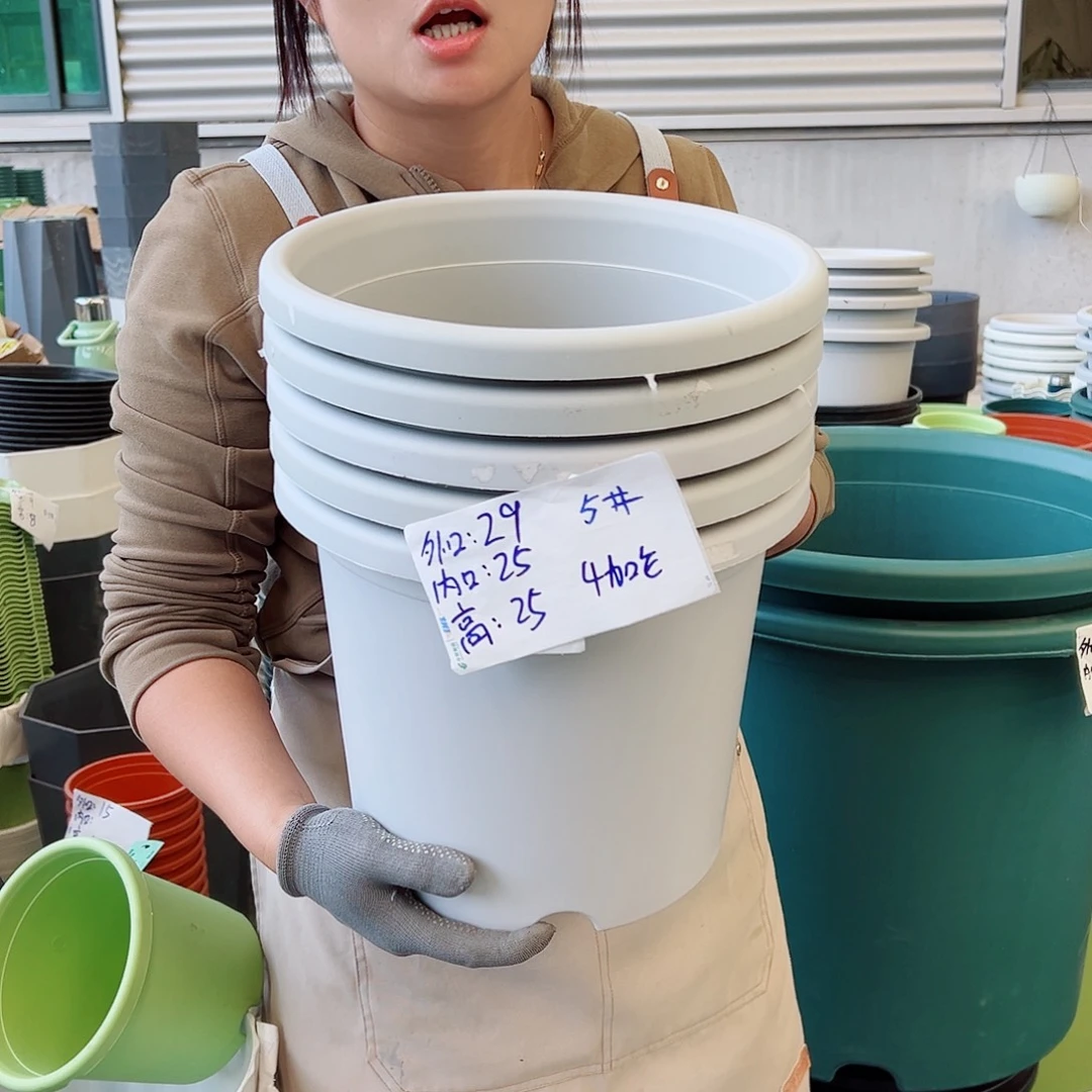 四季盆5#灰白色6个无托