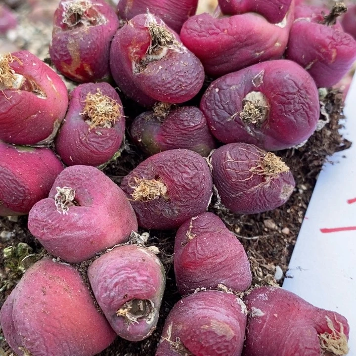 291有伤一组一组