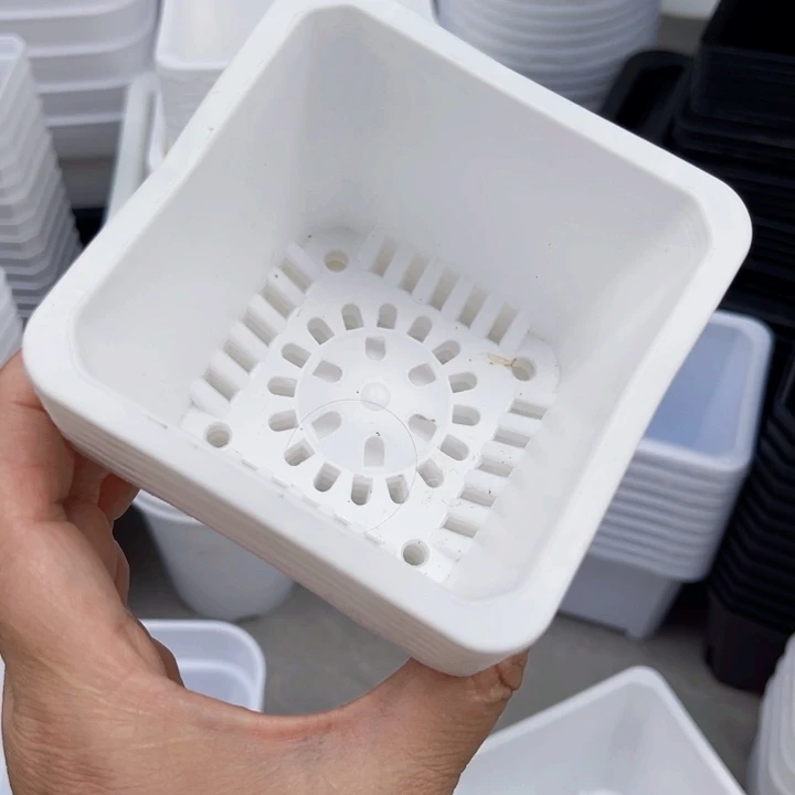 白方口9高7一组30