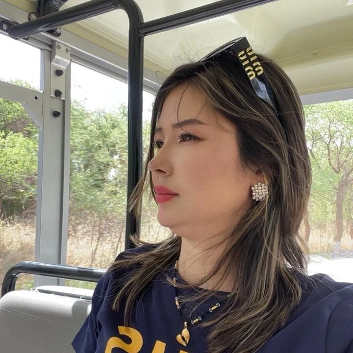 小香风简约女ins耳钉法式千金风几何植物花卉中国风