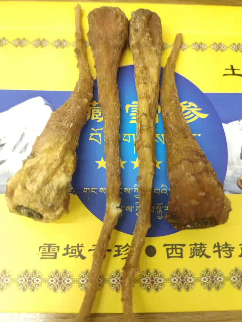 云南山货【藏雪参】煲汤泡水滋补佳品