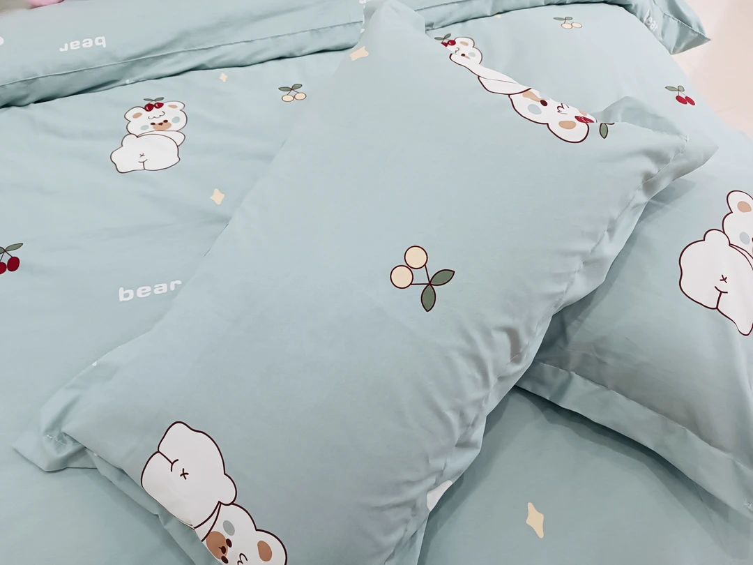 枕套纯棉加厚磨毛