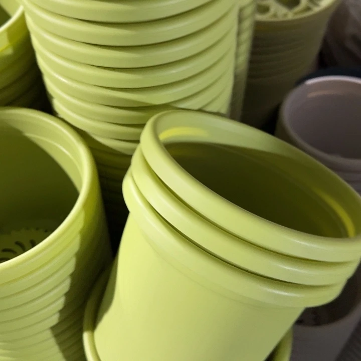 四季2号果绿带托10套