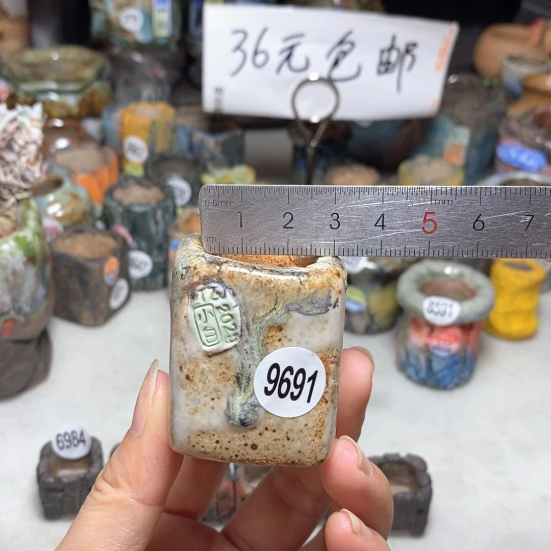 拍3送一个小礼物