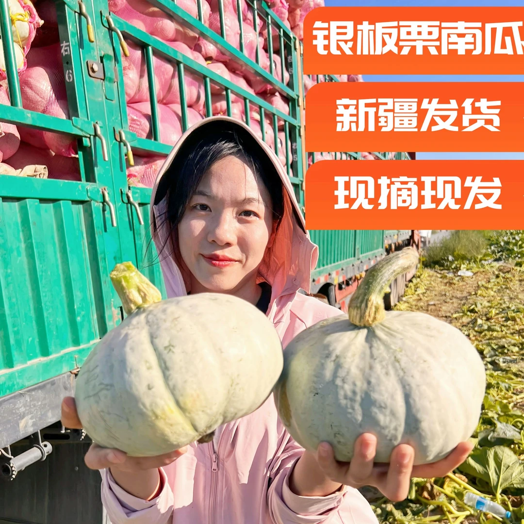 【新疆发货】新疆沙漠种植银栗南瓜粉糯香甜适合孕妇宝宝辅食