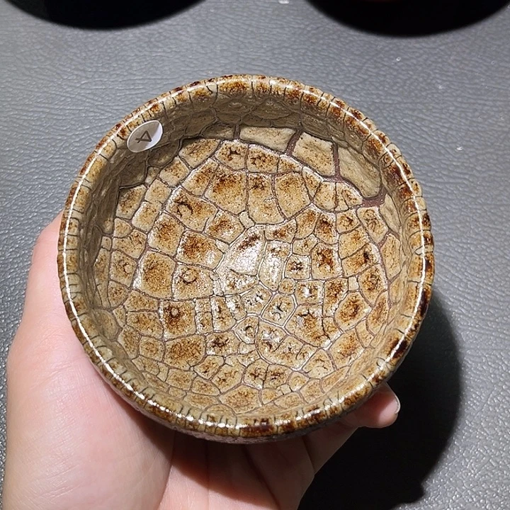 茶盏乐乐乐乐乐乐乐乐乐乐乐乐