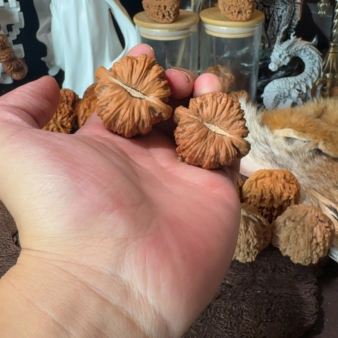 手串/手链核桃一线天卡芝兰球白