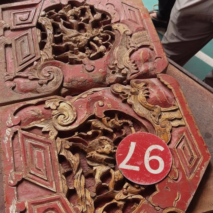 假***文大概好借好还个哈哈