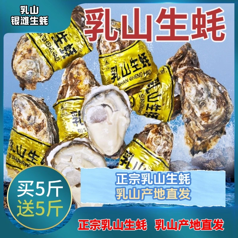 【乳山银滩生蚝】5斤送5斤 乳山生蚝牡蛎 原产地现捞直发 冷链运输