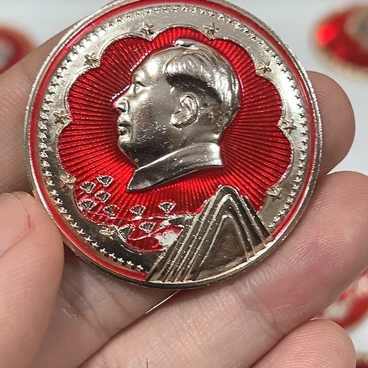 其他普通金属南**辰纪念章一个。。