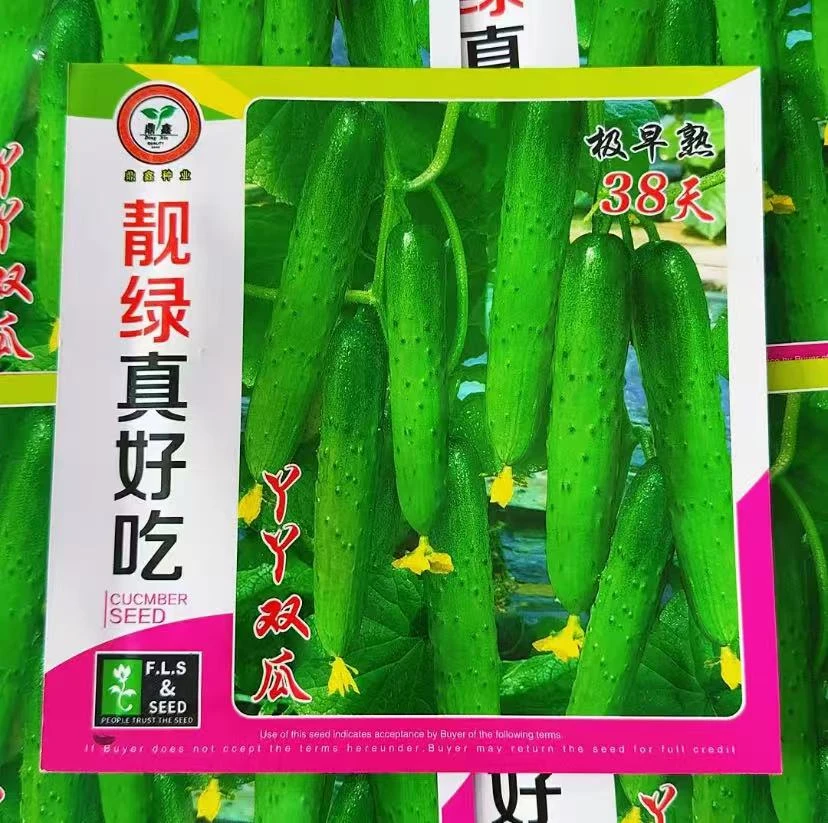 【旱黄瓜种子】满地爬不搭架水果瓜旱瓜种子免搭架