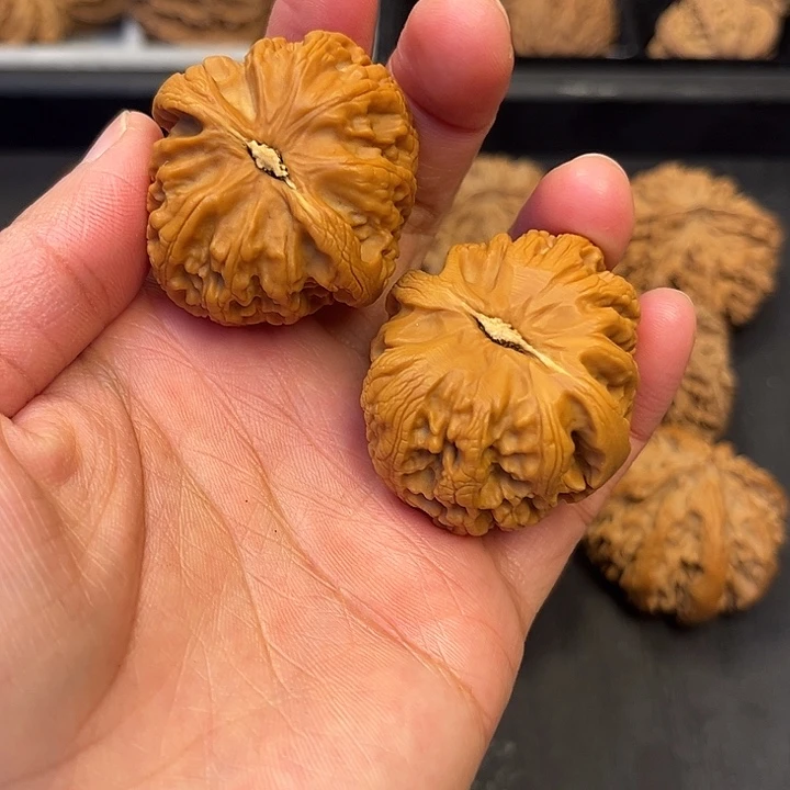 核桃秦岭突突突突突突4