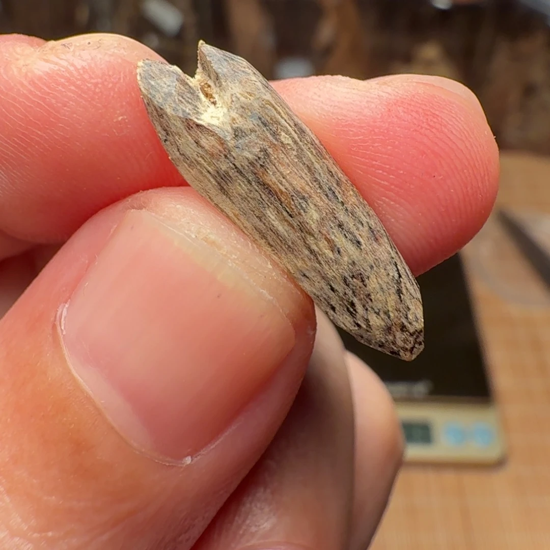 沉香国香海南瓜子料