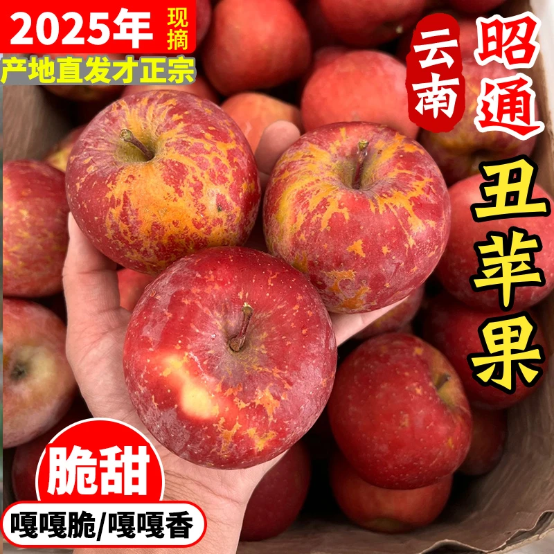 云南昭通丑苹果正宗现摘当季新鲜水果原产地直发脆甜多汁红苹果