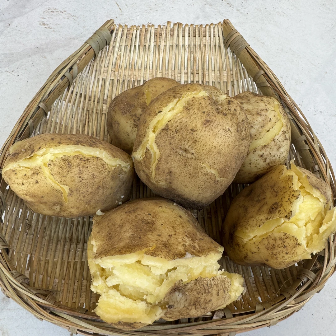 [马队长专属]巧家开花洋芋现挖现发货