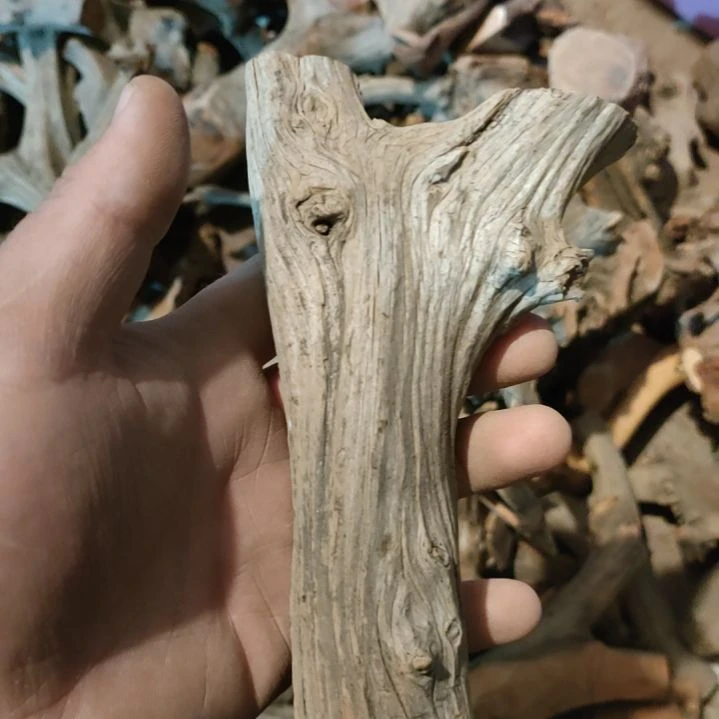 柏木（崖柏）二*崖柏随型弓