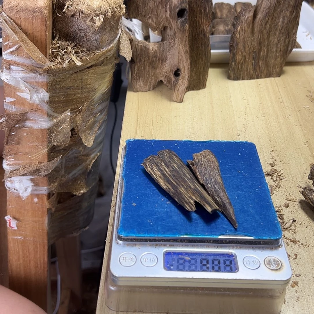 香料绿奇楠虫漏9克白棋