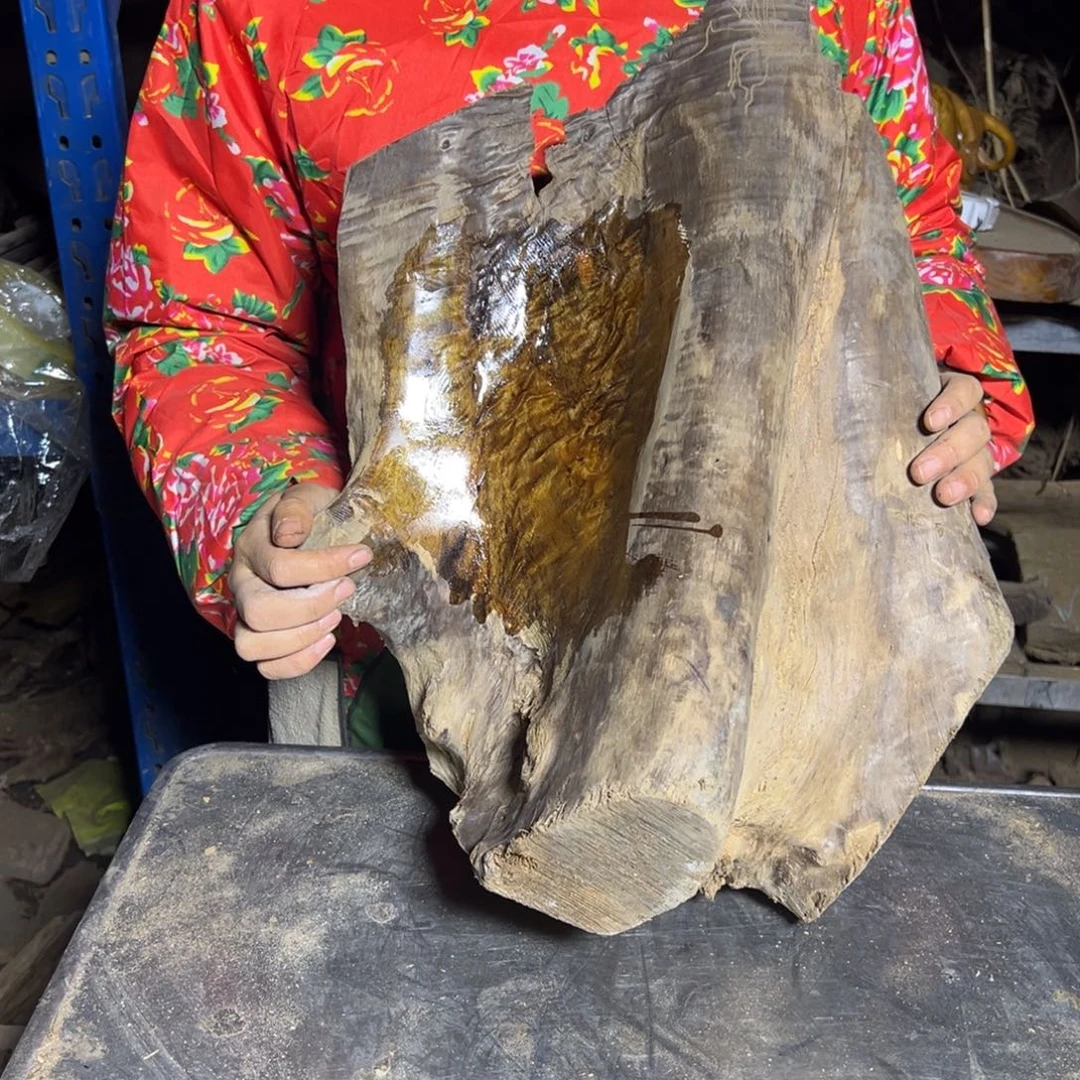 S***人金丝楠22222222222222222