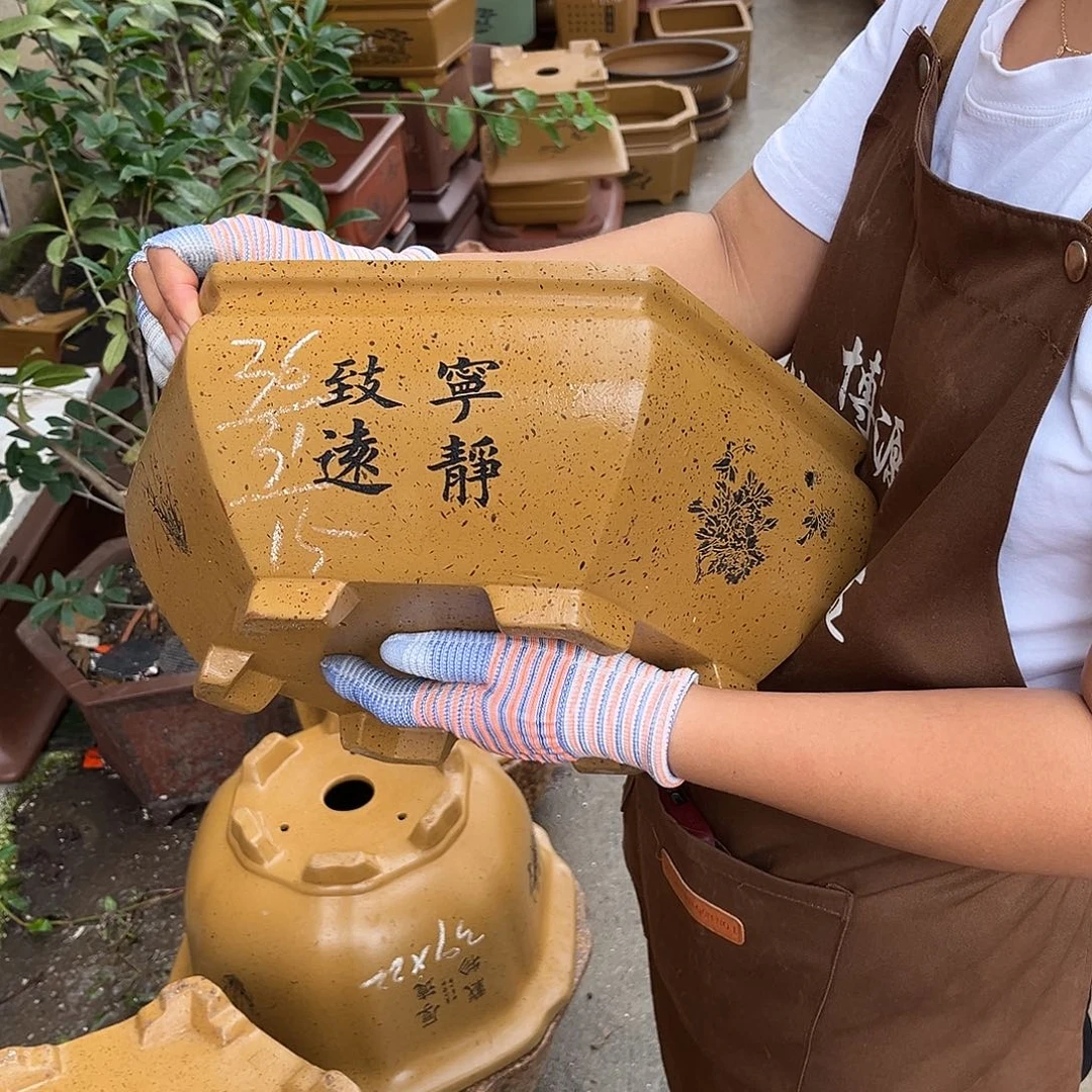 紫砂花盆盆景艺术