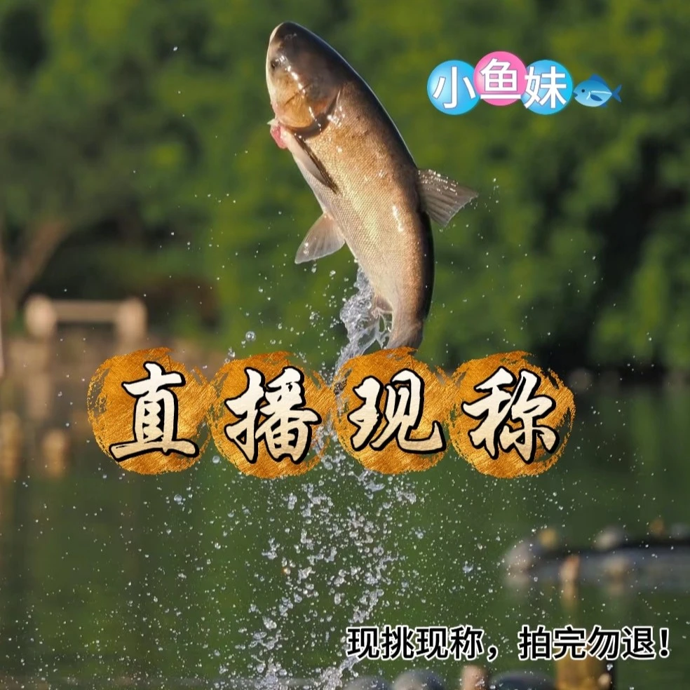 【6】直播现称鱼改价链接，一物一拍，实际鱼种重量以直播间为准