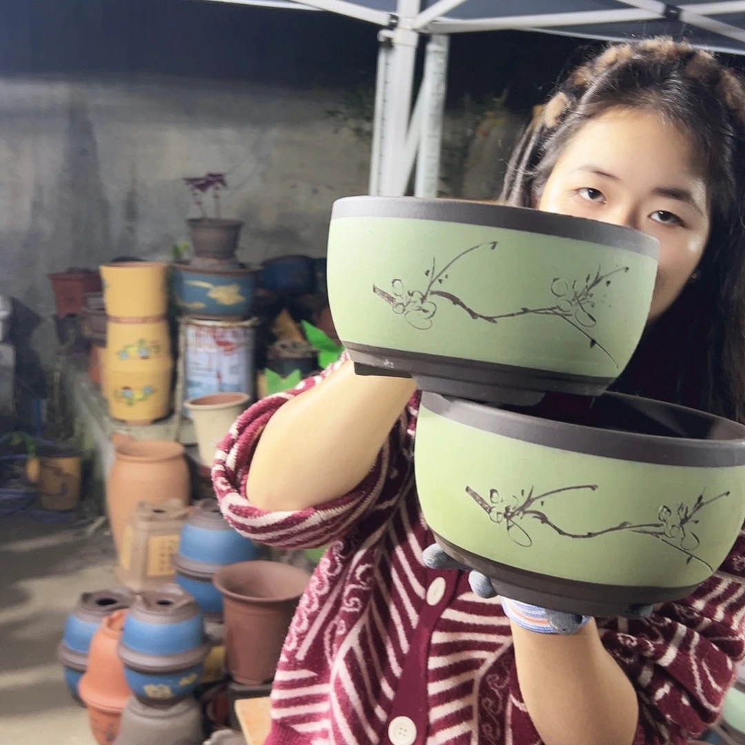 21+21苹果绿萝花盆花盆