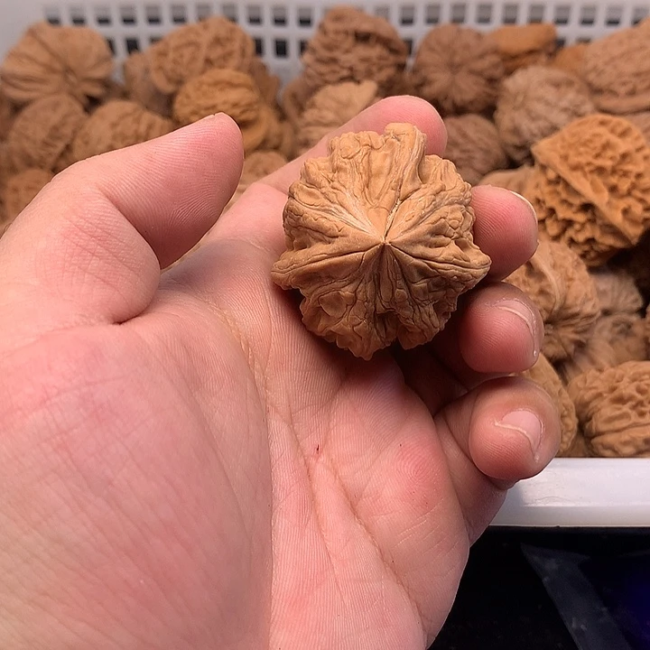 飞***觉文玩核桃吊坠核桃