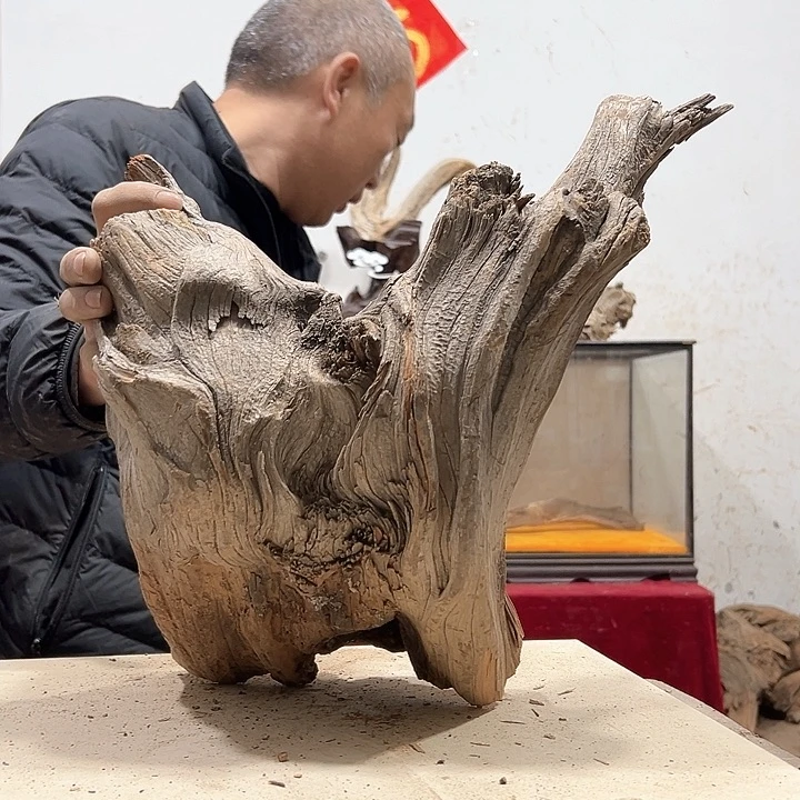 柏木木****店我们的生活也是如此