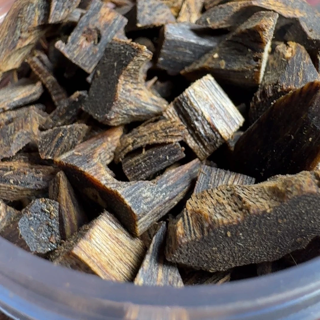 香榧木海南白露沉水米粒50