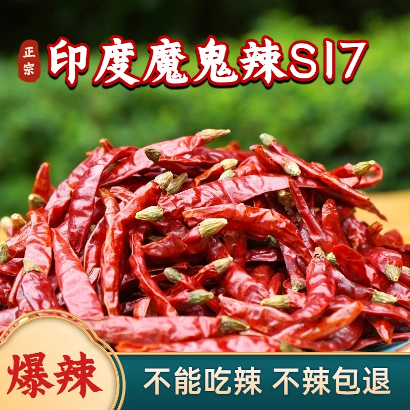 【爆辣猛辣】正宗印度魔鬼椒S17特辣红海椒干辣椒段朝天椒商用批发